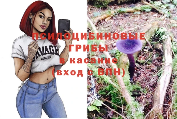 гашик Алексеевка