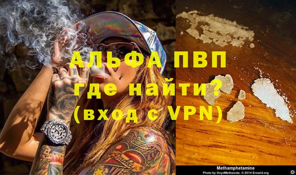 гидра Алзамай