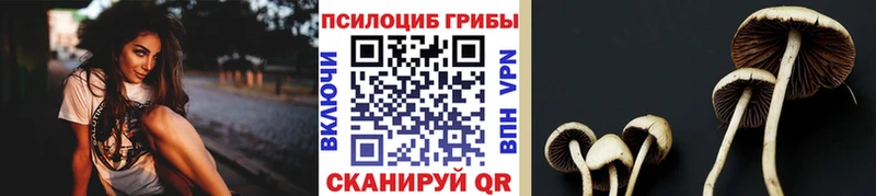 ссылка на мегу ссылки  купить закладку  Ряжск  Псилоцибиновые грибы Cubensis 